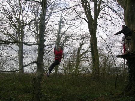 SUR UN ARBRE PERCHé