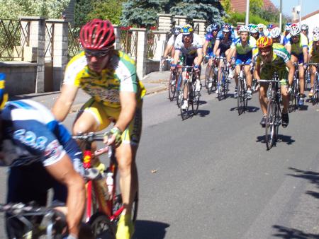 SARRON