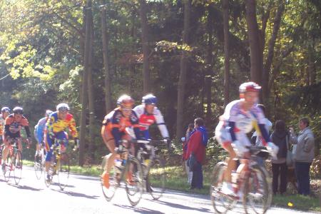 SAINT LEGER AU BOIS
